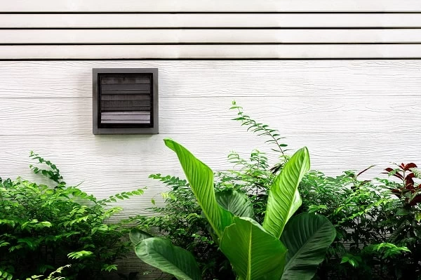 Green leafy plants grow in front of a white textured wall with horizontal lines. Above the plants, a small square black-framed vent hints at the importance of regular dryer vent cleaning New Jersey residents trust for safety and efficiency.