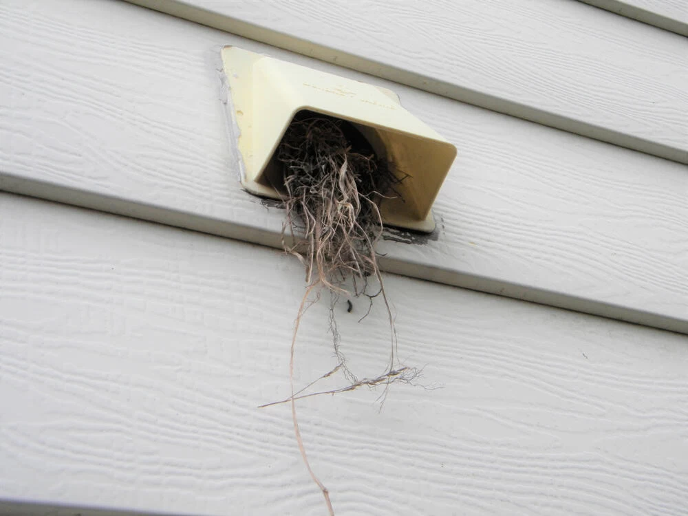 A yellow exterior vent on a house is clogged with dried grass and debris, likely from a bird&rsquo;s nest, sticking out of the vent opening&mdash;an issue that could benefit from professional dryer vent cleaning New Jersey.