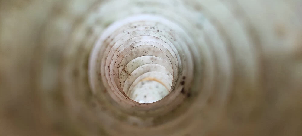 Close-up view inside a spiraled, cylindrical shell&mdash;reminiscent of an air duct&mdash;showing concentric inner rings that narrow toward the center. The surface is slightly textured with light brown spots and soft lighting, like those seen in air duct services New Jersey.