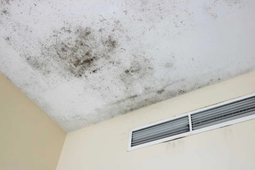 Ceiling corner with large patches of black mold and mildew stains, above a beige wall and a white air vent&mdash;highlighting the need for air duct services New Jersey to maintain indoor air quality.