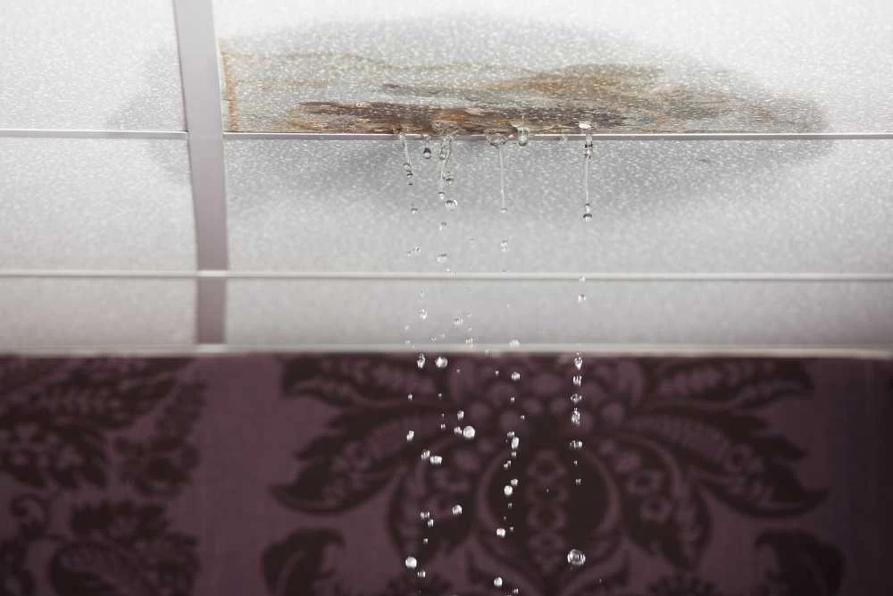 Water dripping from a stained, damaged ceiling tile onto the floor below suggests a significant roof or plumbing leak. Patterned wallpaper is visible in the background&mdash;prompting the need for thorough air duct services New Jersey.