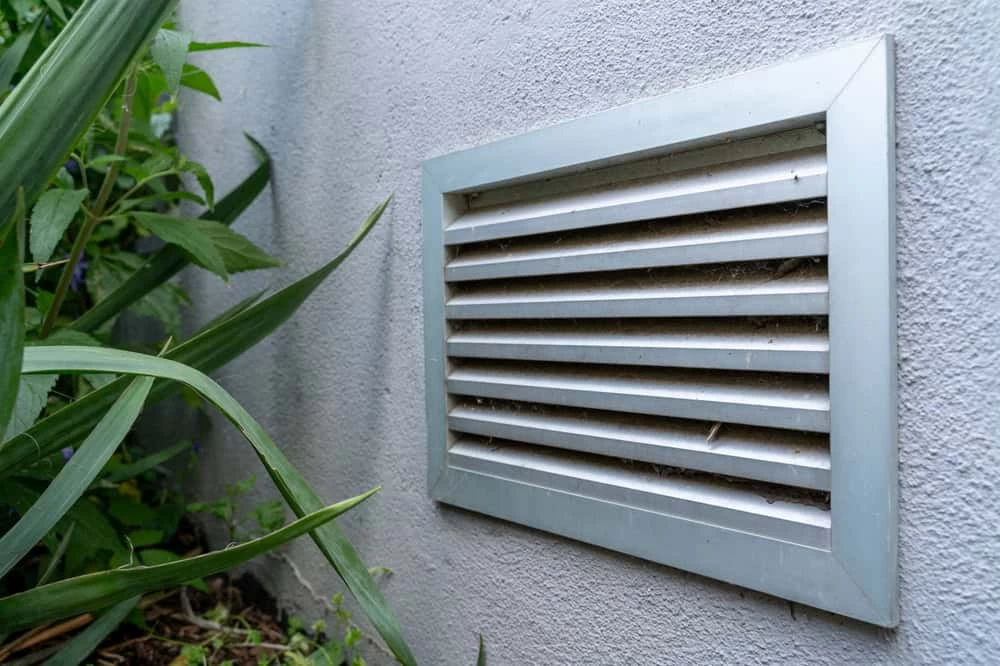 A close-up of a rectangular metal vent on an exterior wall, surrounded by green plants. The vent has horizontal slats and is attached to a textured light gray wall, ideal for showcasing reliable dryer vent cleaning New Jersey services.